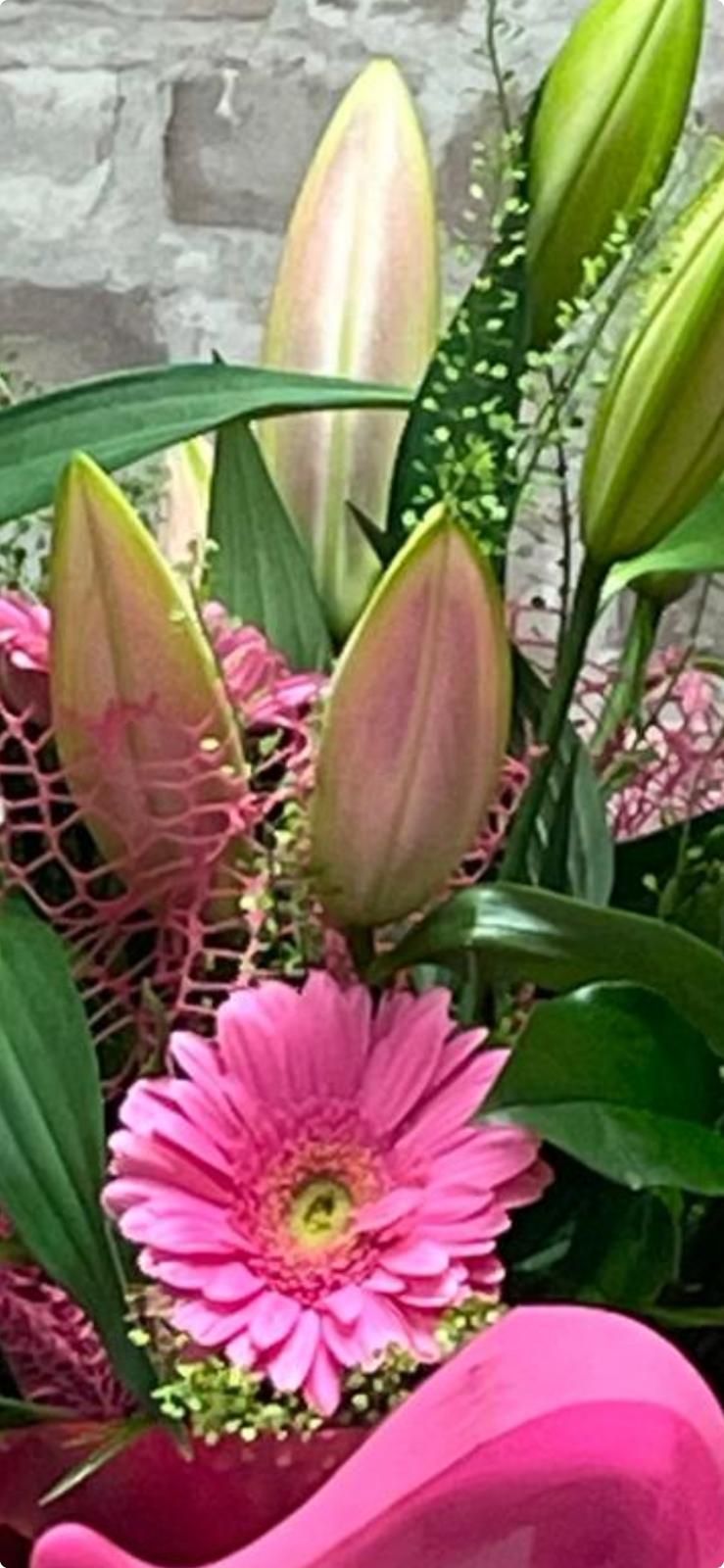 PINK LILIES  AND GERBERAS HANDTIED