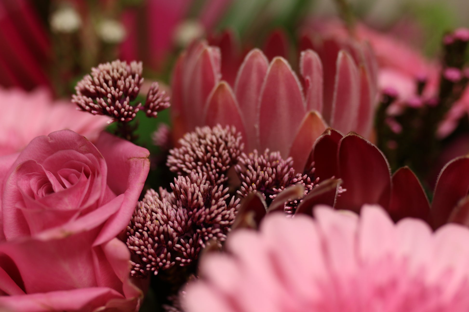 Pink Luxe – Hand-Tied Bouquet in Bold Wrap