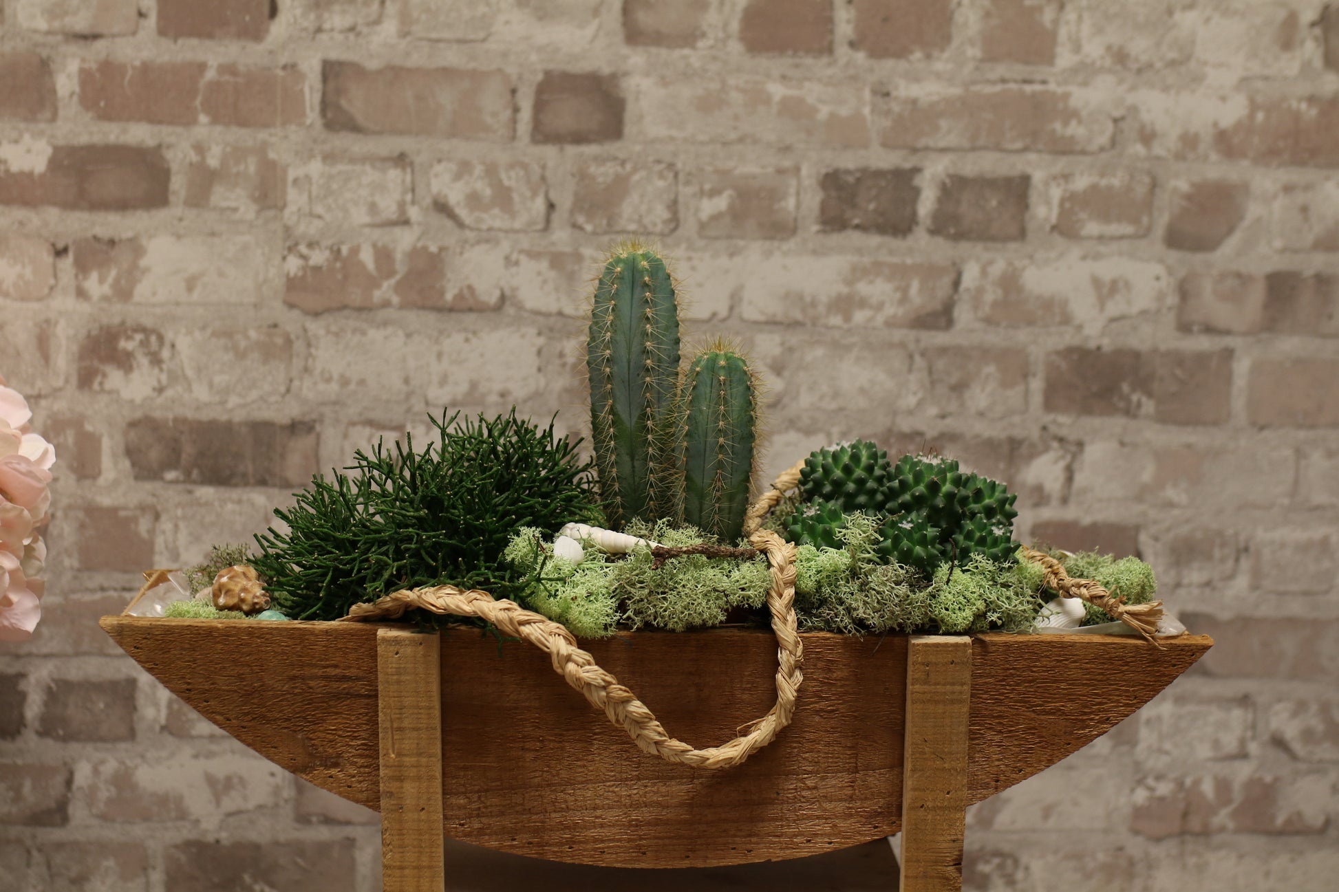 Botanical Boat – Mixed Cactus &amp; Succulent Arrangement