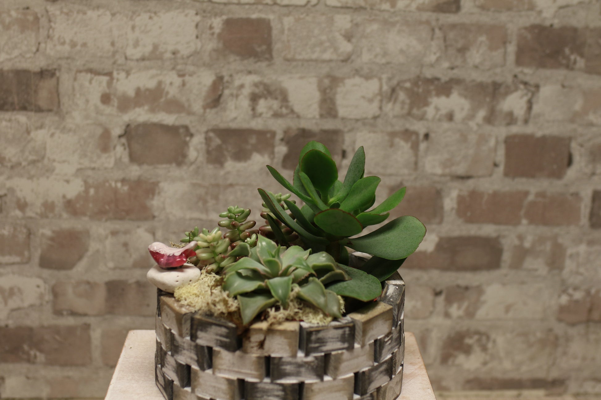 Sculpted Succulent Garden – Round Basket Planter
