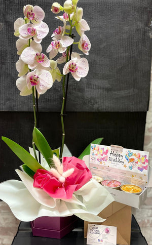 Blushing Orchid – White & Pink Phalaenopsis with Candles Birthday Gift Wrap