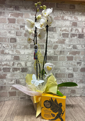 WHITE ORCHID  and CHAMPAGNE PRALINE CHOCOLATE TRUFFLE