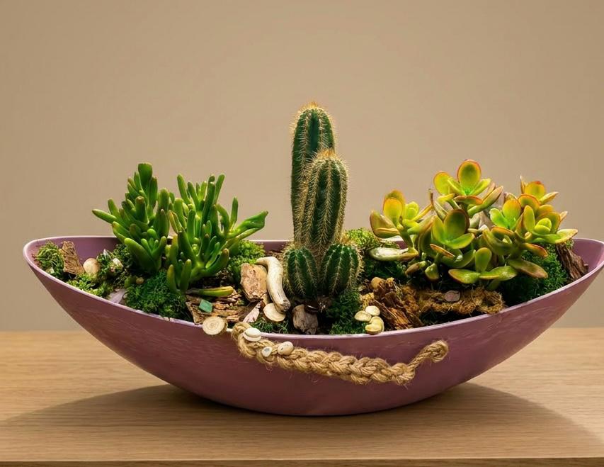 Cactus Boat