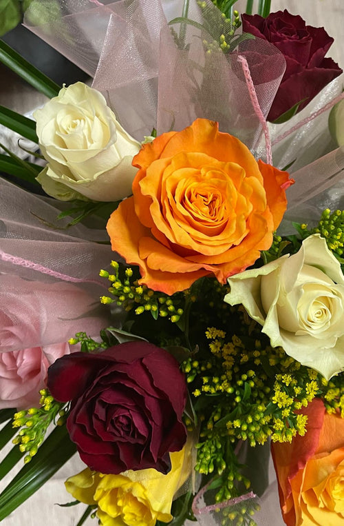 12 Small Rainbow Roses