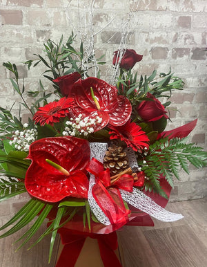 "Ruby Christmas Bloom"