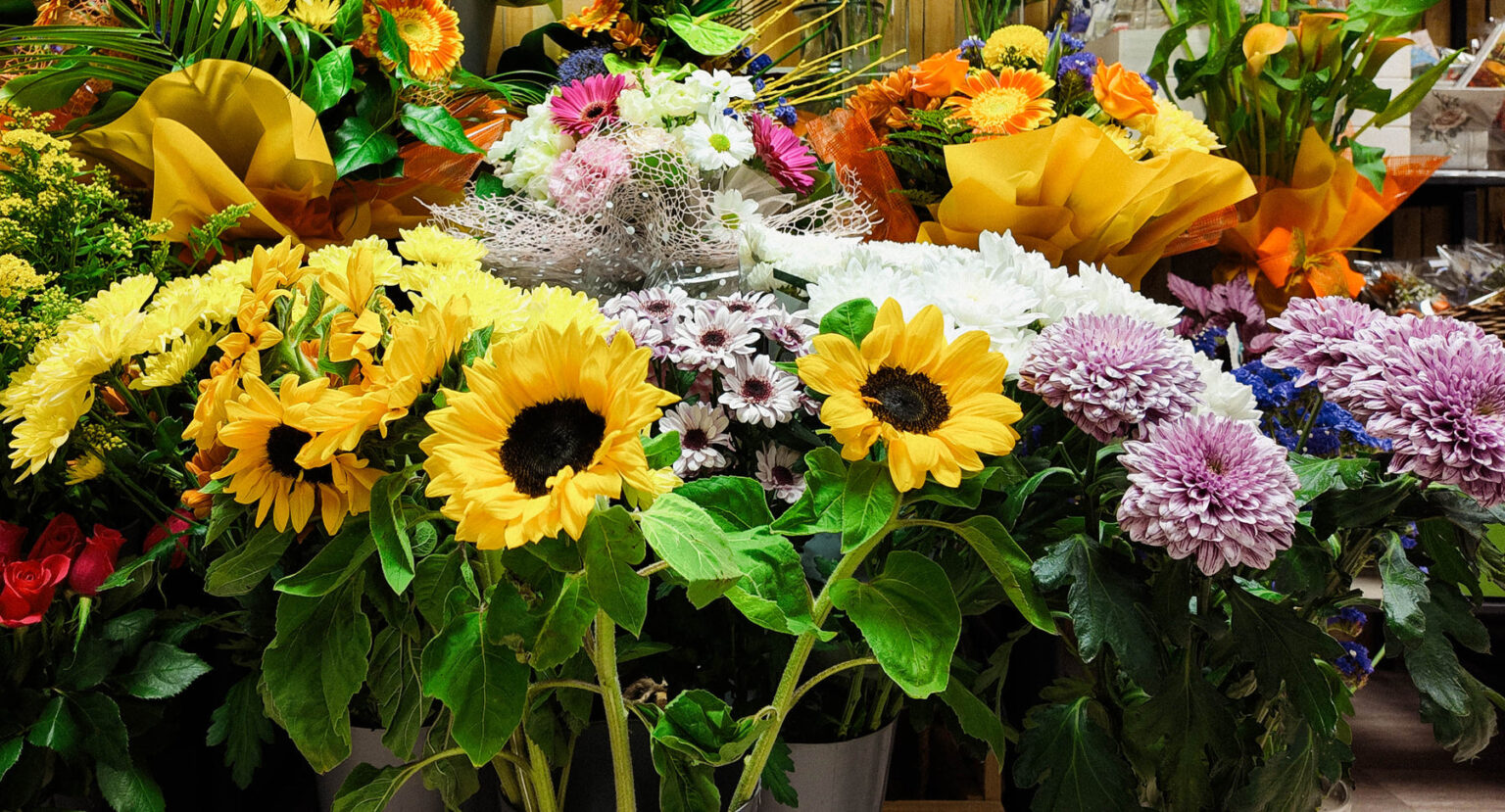 Fresh seasonal flowers at Great Victoria Blossoms in Belfast
